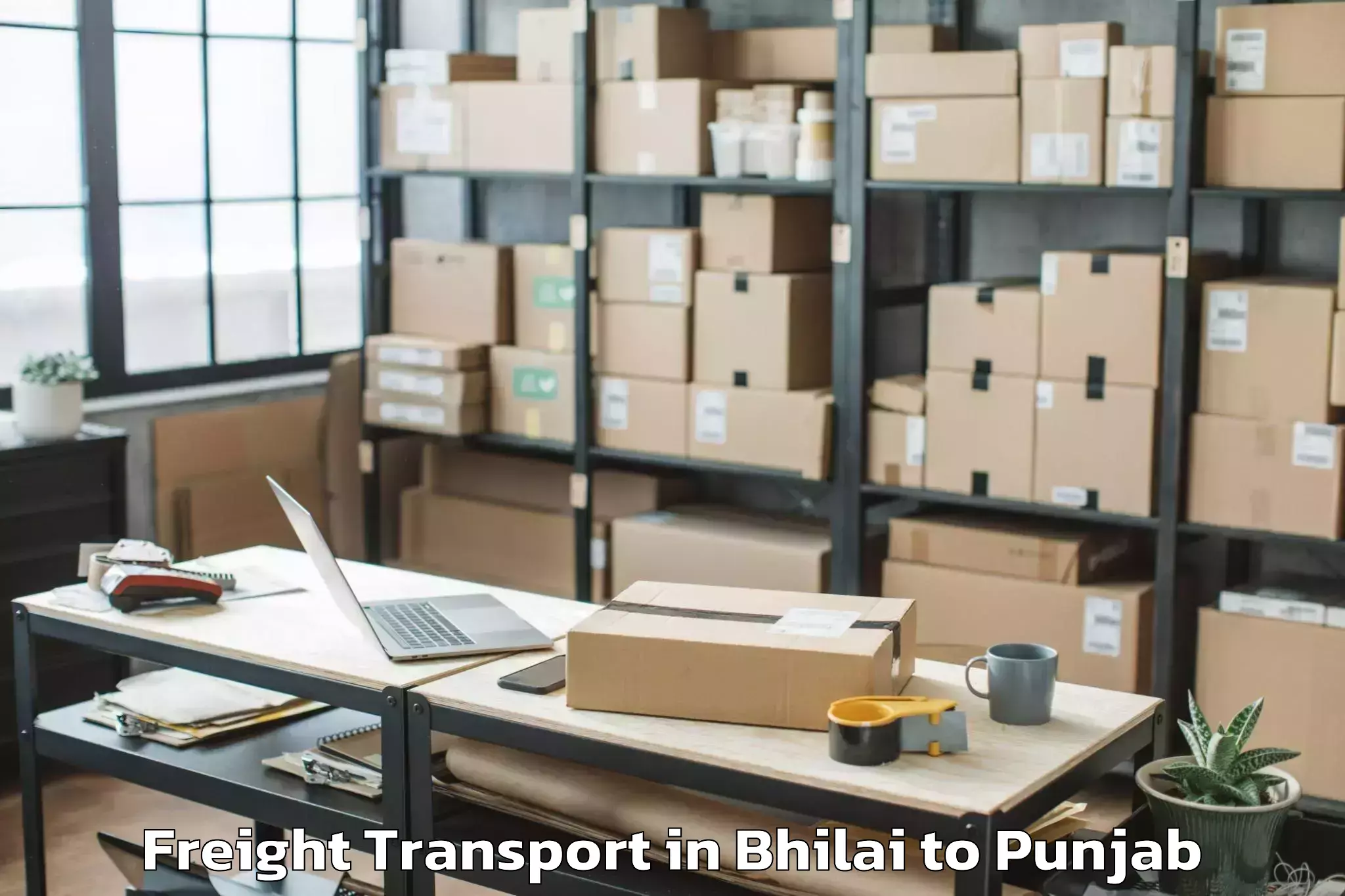 Trusted Bhilai to Faridkot Freight Transport